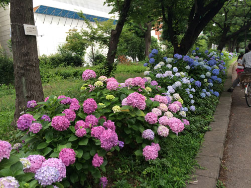 ueno1