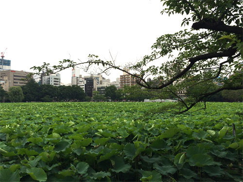 ueno2