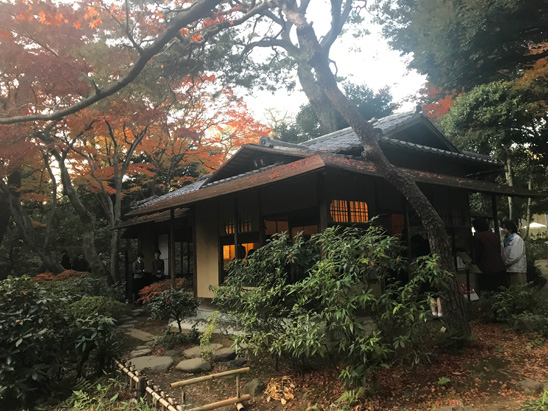 cyakai